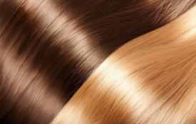 Интересные факты о волосах человека